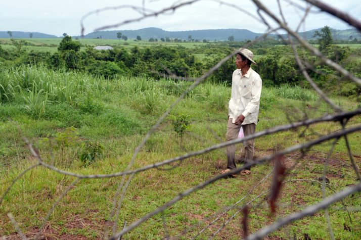Cambodian community leader Teng Kao showing a sugarcane field in Koh Kong province in 2012 | Tang Chhin Sothy/AFP via Getty Images