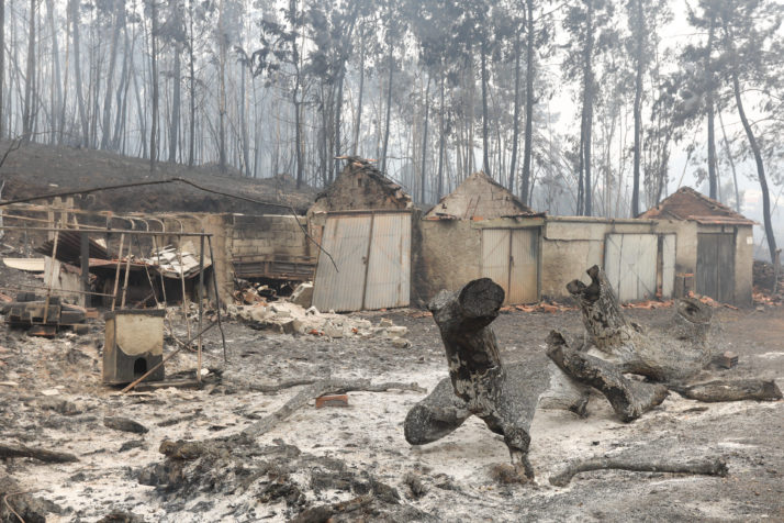 Scorched earth and houses in Nodeirinho. 11 people, one third of the village's population, died in the forest fire | Antonio Cotrim/EPA